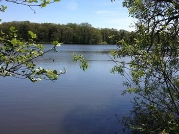 Cleveley Mere Luxury Waterside Lodges Scorton  Dış mekan fotoğraf